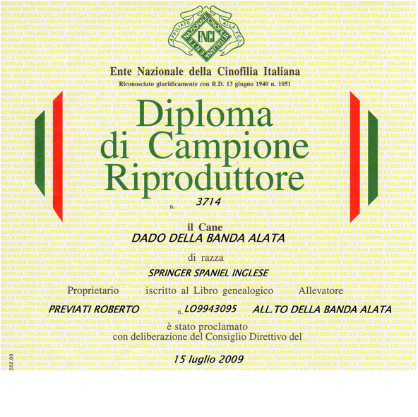 Dado Diploma153.jpg