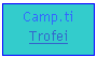 Casella di testo: Camp.ti
Trofei
